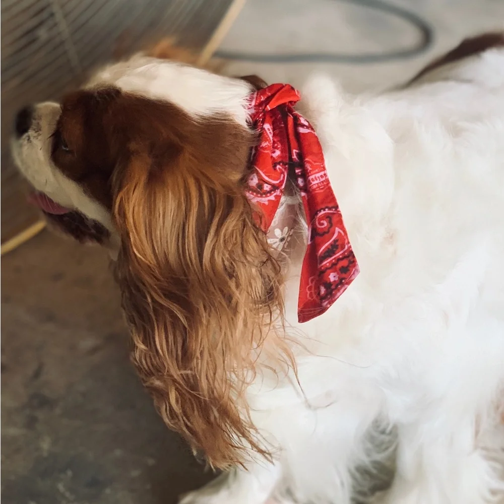 COOLING Red Bandana Dog Collar - Rustic Boho Bow Tie - Unisex Dogs Pet Wrap